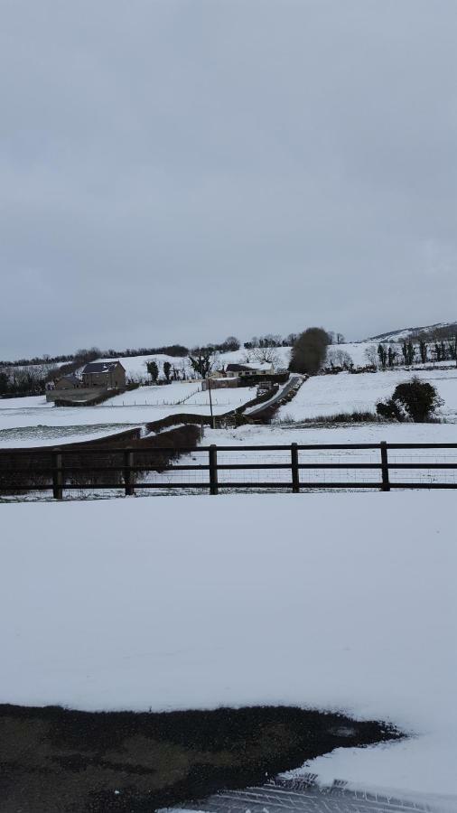 Holly Cottage Mayobridge Newry Luaran gambar